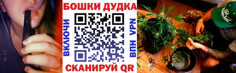 Шишки марихуана SATIVA & INDICA  Купить закладки  Малмыж 